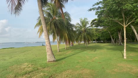 Flugzeug-Im-Anflug-Auf-Den-Changi-Flughafen,-Vom-Tropischen-Changi-Strand-Aus-Gesehen