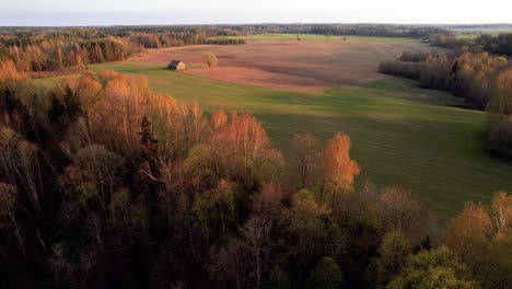 Aerial-View-Of-Spring-Forest-To-Reveal-Farmland-Countryside-In-Lithuania
