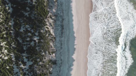 Drohnen-Vogelperspektive,-Die-Sich-Vom-Magentafarbenen-Strand-Abhebt,-Während-Die-Wellen-Am-Ufer-Entlang-Krachen