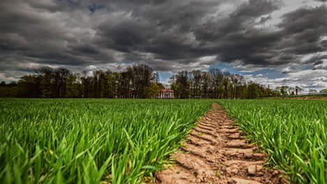 Low-angle-view-of-a-tire-track-in-the-grass-with-dark,-stormy,-ominous-clouds-overhead---motion-time-lapse