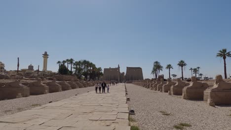 Gente-Caminando-Por-La-Calle-Rams-Con-Esfinges-A-Ambos-Lados-Al-Mediodía-En-Luxor,-Egipto