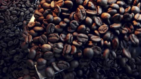 A-gloved-hand-scoops-coffee-beans-out-of-the-roaster---close-up-slow-motion