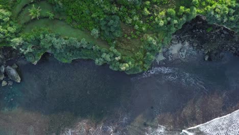 Sliding-drone-shot-of-coastline-with-green-trees