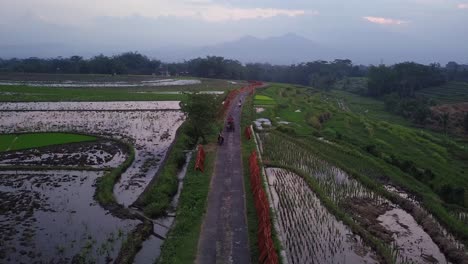 Luftaufnahme-über-Eine-Stark-Befahrene-Unbefestigte-Straße-Zwischen-Den-Reisfeldern-In-Java,-Indonesien