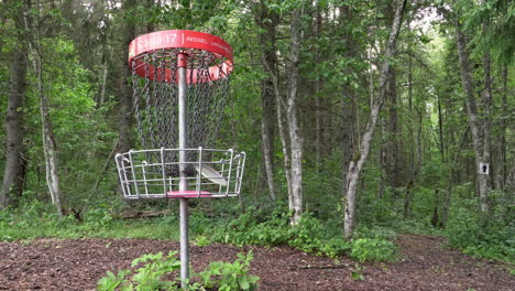 Disc-golf-basket-in-forest