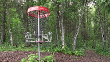 Discgolfkorb-Im-Wald