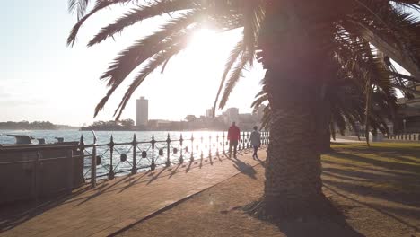 An-old-couple-is-walking-under-the-Sydney-Harbour-Bridge-on-Sunset