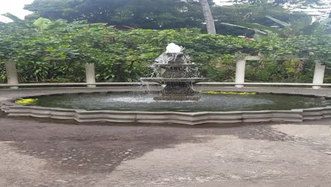 Vertical-view-of-a-beautiful-fountain-located-in-the-center-of-a-botanical-garden