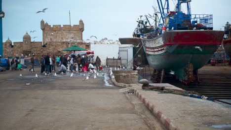 Los-Vendedores-De-Pescado-En-La-Zona-Portuaria-De-Essaouira,-Marruecos,-Están-Inundados-De-Gaviotas-Que-Quieren-Delicias