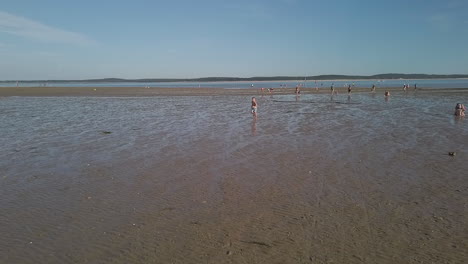 Niños-De-Vacaciones-Corriendo-Sobre-Arena-Mojada-Durante-La-Marea-Baja-Con-El-Océano-Atlántico-Al-Fondo,-Isla-De-Oleron