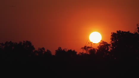 Zeitraffer-Eines-Orangefarbenen-Sonnenuntergangs-über-Einer-Silhouette-Von-Bäumen,-Während-Sehr-Dichter-Verkehr-Schnell-Vorbeizieht