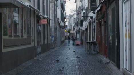 Typical-Portuguese-street-Funchal,-tourist-walk-and-pigeons-searching-for-food