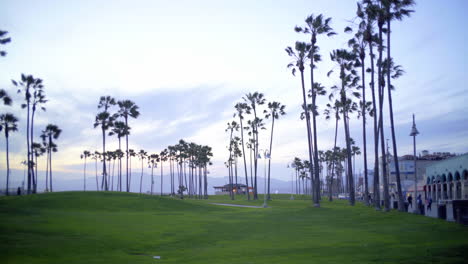 Campos-Verdes-Desiertos-En-El-Paseo-Marítimo-De-Venice-Beach-Durante-La-Cuarentena-De-Covid-19