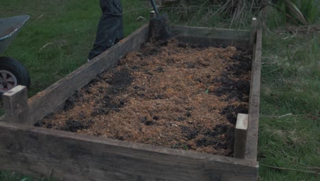Young-man-spreads-sawdust-over-soil-in-raised-garden-bed