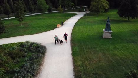 Aerial-shot-of-a-couple-training-to-follow,-their-two-bernese-dogs-in-a-city-park