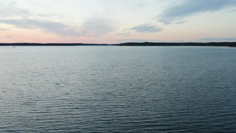Aerial-view-of-swan,-on-the-coast-of-Porkkalaniemi-archipelago,-sunny,-summer-evening-dusk,-in-Porkkala,-Uusimaa,-Gulf-of-Finland---tracking,-drone-shot