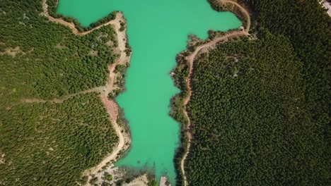 Türkisfarbenes-Wasser-In-Einem-Bergwaldsee-Mit-Pinien