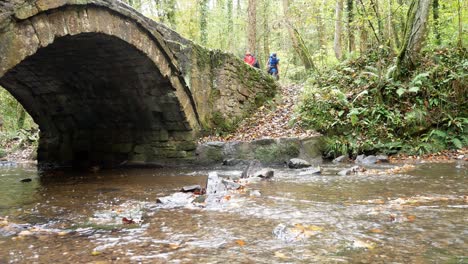 Familie-Geht-über-Fließenden-Herbstwald,-Waldbach,-Steinbogenbrücke,-Wildnis,-Laub