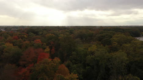 An-aerial-shot-taken-directly-over-colorful-tree-tops-at-the-start-of-the-fall-season