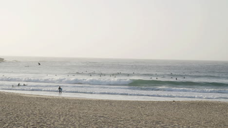 Surfers-paradise-Bondi-beach-Sydney-Australia