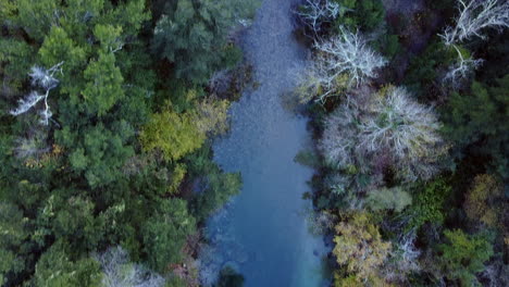 Forest,-river-and-a-bridge-from-above,-drone-shoots