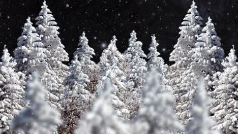 Animierter-Weihnachtsbaum-Mit-Weißem-Schnee-In-Der-Nacht