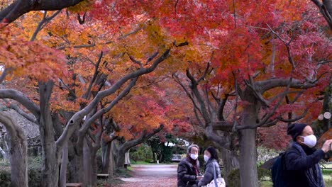 Touristen-In-Japan-Während-Der-Koronakrise-Mit-Gesichtsmasken-In-Beliebten-Herbstfarben