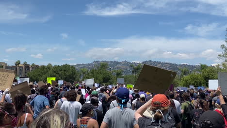 Escaneando-Una-Gran-Multitud-De-Diversos-Aliados-En-La-Soleada-Protesta-De-Blm