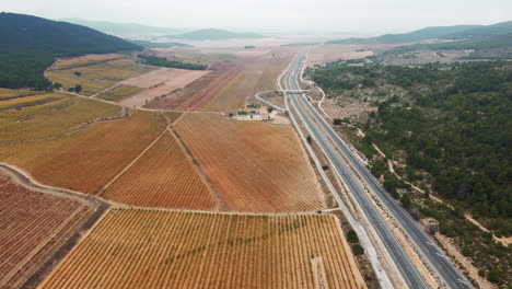 Aerial-view-of-vineyards-along-the-highway-in-Valencia,-Spain