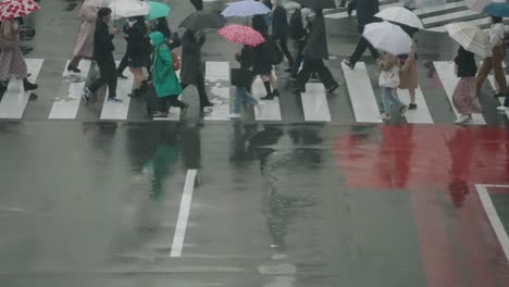 People-With-Umbrella-Walk-Across-Wet-Road-In-Shibuya-Crossing,-Tokyo-Japan-During-Rainy-Day