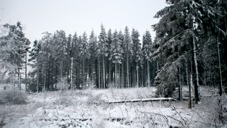 Forest-side-landscape-covered-in-snow-in-pan-left-shot