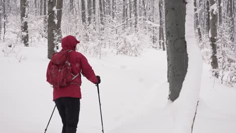 Slow-motion-track-shot-of-man-with-hiking-poles-mountaineering-through-deep-snow-in-forest