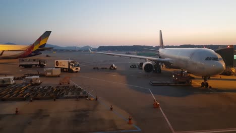 Person-Drives-Aircraft-Container-And-Pallet-Loader-into-The-Aircraft-During-Sunset-At-Incheon-International-Airport,-South-Korea