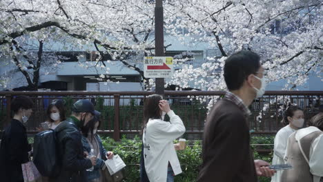 Menschen-Mit-Schutzmaske-Stehen-Während-Der-Hanami-Saison-Inmitten-Der-Covid-19-Pandemie-In-Tokio,-Japan,-Schlange