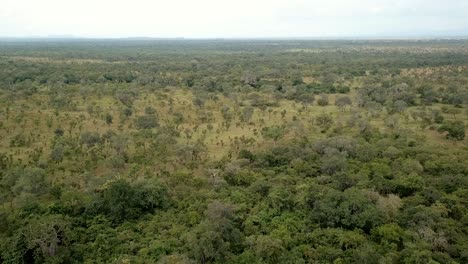 Aerial-Shot-of-the-African-Savannah-a-Mikumi-National-Park,-Tanzania