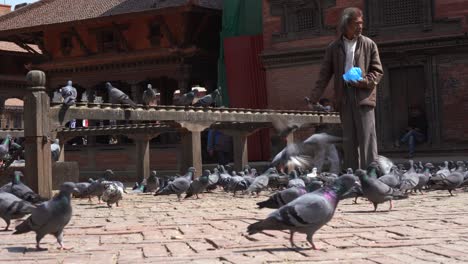 Patan,-Nepal---March-3,-2021:-An-elderly-man-feeding-pigeons-at-the-Patan-Durbar-Marg-in-Nepal