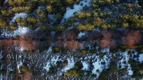 Top-down-view-over-snowy-forest-Podczerwone,-Poland