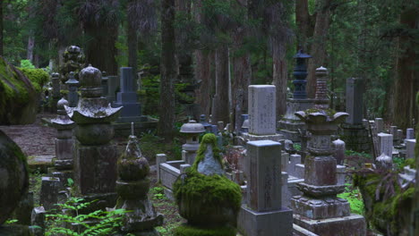 Lápidas-En-El-Cementerio-De-Okunoin-Rodeado-De-árboles-En-Mt-Koya,-Japón
