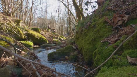 Low-angle-first-person-view-of-small-water-stream-in-forest-and-child-playing