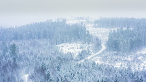 AERIAL---Snowfall-over-a-beautiful-forest-in-Sweden,-wide-spinning-shot