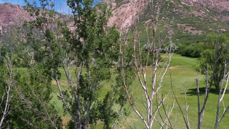 Ein-Blick-über-Die-Bäume-Auf-Einen-Golfplatz-Und-Berge-Im-Hintergrund