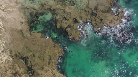 Luftaufnahmen-über-Schnorcheltouristen-Im-Türkisfarbenen-Meerwasser,-Felsige-Küste