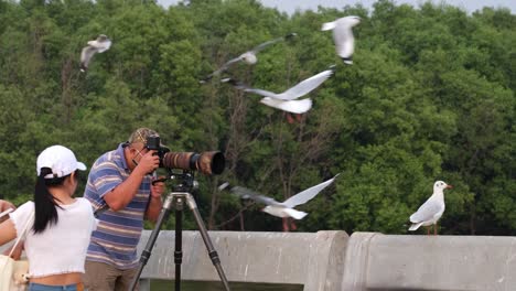 Hombre-Tomando-Fotografías-De-Gaviotas-En-El-Centro-Recreativo-De-Bang-Pu,-Tailandia