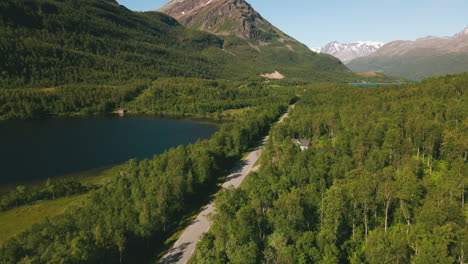 Luftaufnahme-Von-Grünen-Bäumen-Im-Wald-Rund-Um-Die-Campinghütte-In-Der-Nähe-Von-Laksvatnet-In-Norwegen