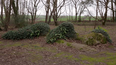 La-Estatua-Conocida-Como-La-Bella-Durmiente-Se-Encuentra-En-Los-Jardines-Perdidos-De-Heligan-En-Cornualles,-Inglaterra,-Reino-Unido