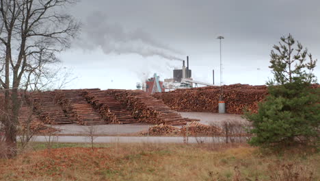 Filmische-Aufnahme-Von-Tausenden-Von-Baumstämmen,-Die-Bereit-Sind,-In-Die-Fabrik-Zu-Gelangen