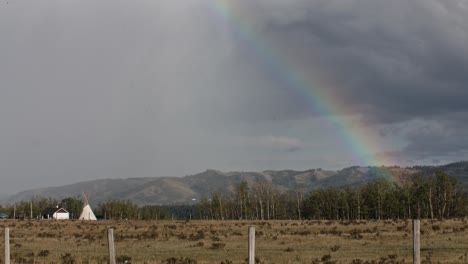 Regenbogen-Und-Tee-Pipi-Im-Ländlichen-Gebiet