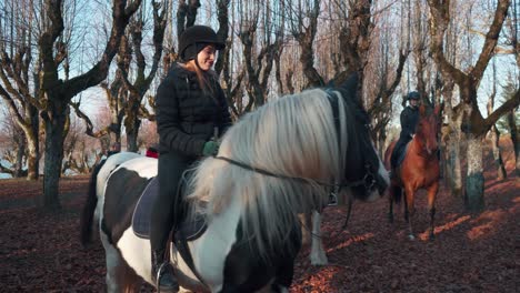 Katvari,-Letonia---31-De-Octubre-De-2021:-Pinto-Irish-Cob-Horse-Irish-Tinker-Sementales-En-Old-Linden-Alley,-Katvaru-Manor-Park,-Letonia