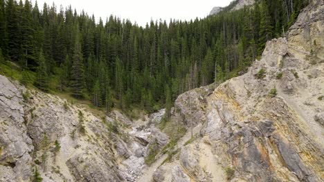 Slowly-forward-moving-aerial-footage-in-4k-approaching-steep-rocky-gorge-in-front-of-vast-and-untouched-coniferous-forests-in-the-Canadian-Rocky-Mountains