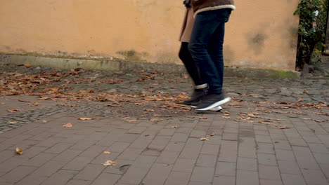 Captura-Recortada-De-Personas-Paseando-Por-El-Parque-Oliwski-En-Gdansk,-Polonia-Durante-El-Otoño
